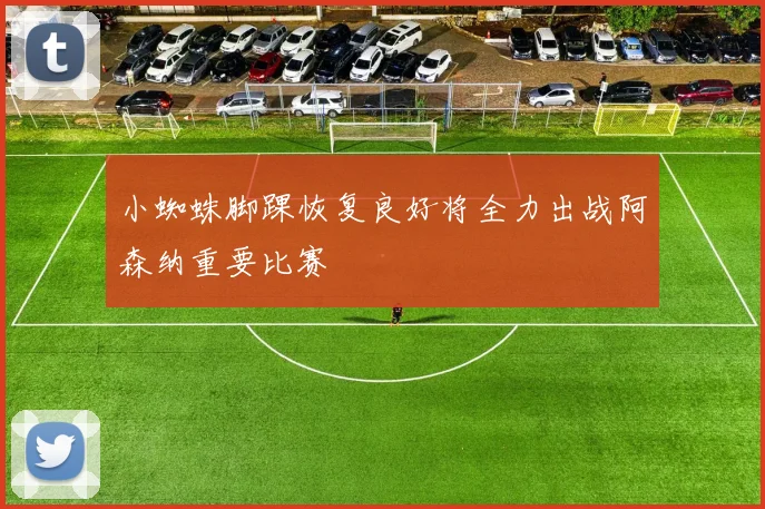 小蜘蛛脚踝恢复良好将全力出战阿森纳重要比赛