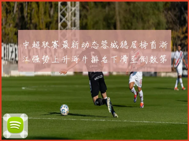 中超联赛最新动态蓉城稳居榜首浙江强势上升海牛排名下滑至倒数第三